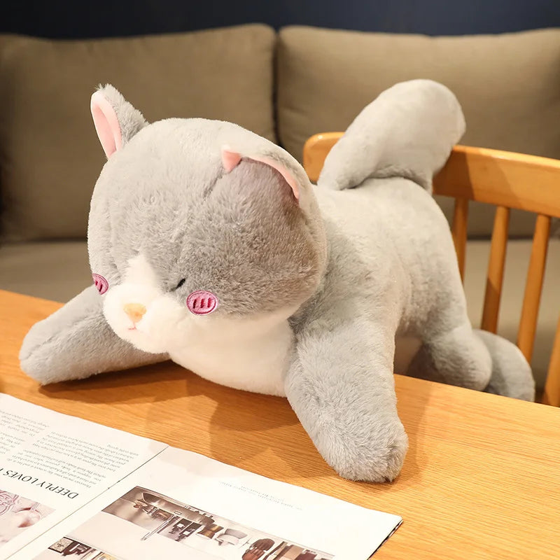 Gray Shark Cat Plushie | Handmade Kitten Shark Hybrid Body Pillow | Kawaii Cat Plush 50 70 90 cm