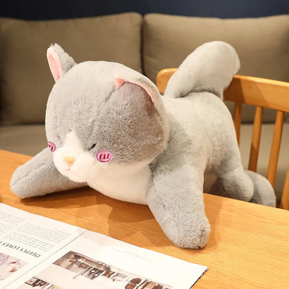 Gray Shark Cat Plushie | Handmade Kitten Shark Hybrid Body Pillow | Kawaii Cat Plush 50 70 90 cm