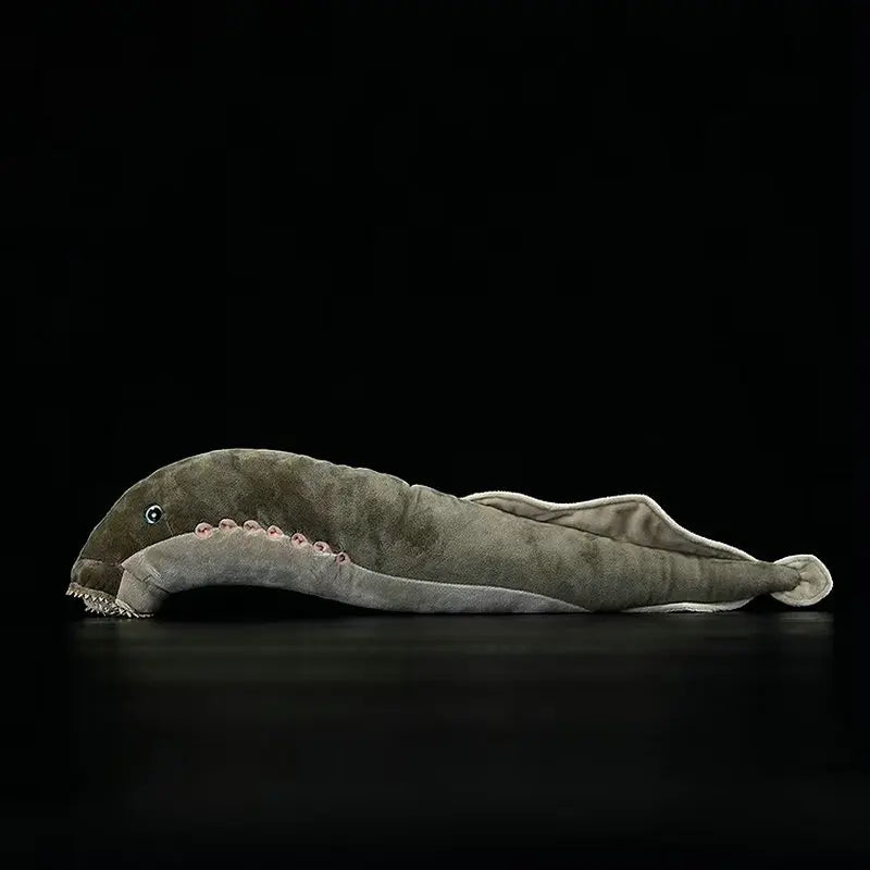 Sea Lamprey Eel Plush displayed next to a ruler to show full 52cm scale