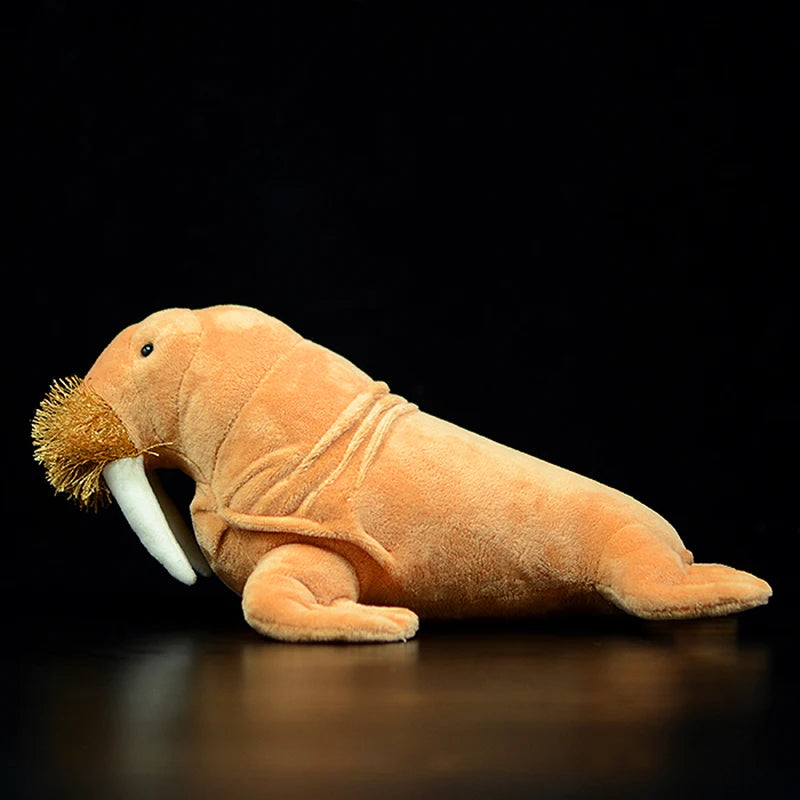 Sea animal plush walrus displayed alongside other ocean animal collectibles