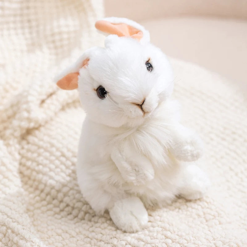 Size comparison 25cm small kawaii plush toy next to 35cm large stuffed animal pillow