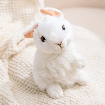 Size comparison 25cm small kawaii plush toy next to 35cm large stuffed animal pillow