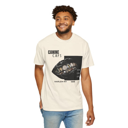 Streetwear graphic tees comfort colors 1717 heavyweight blank