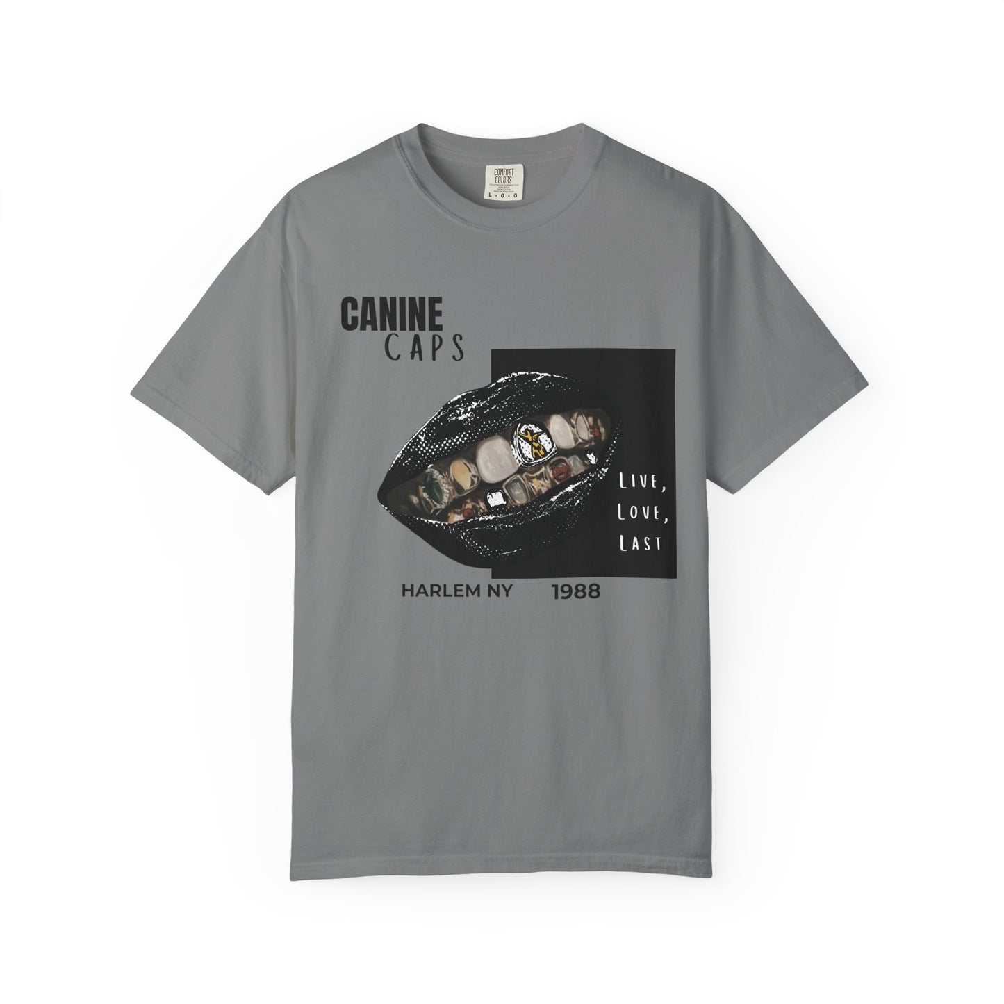 Urban style clothing hip-hop canine tee detail graphic close-up