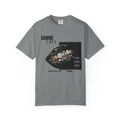 Urban style clothing hip-hop canine tee detail graphic close-up