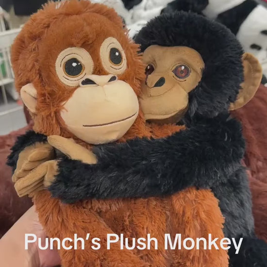 Punch Video