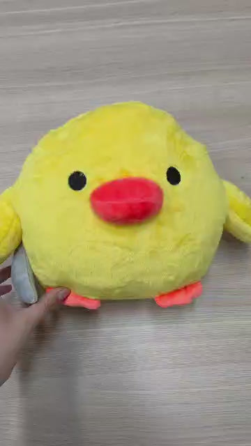 video of meme duck