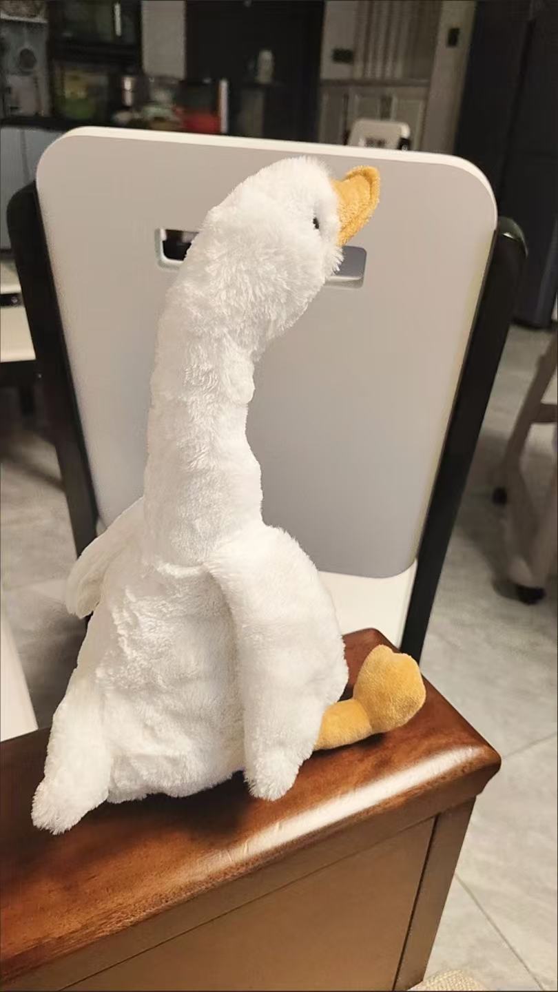 side view of white goose 
